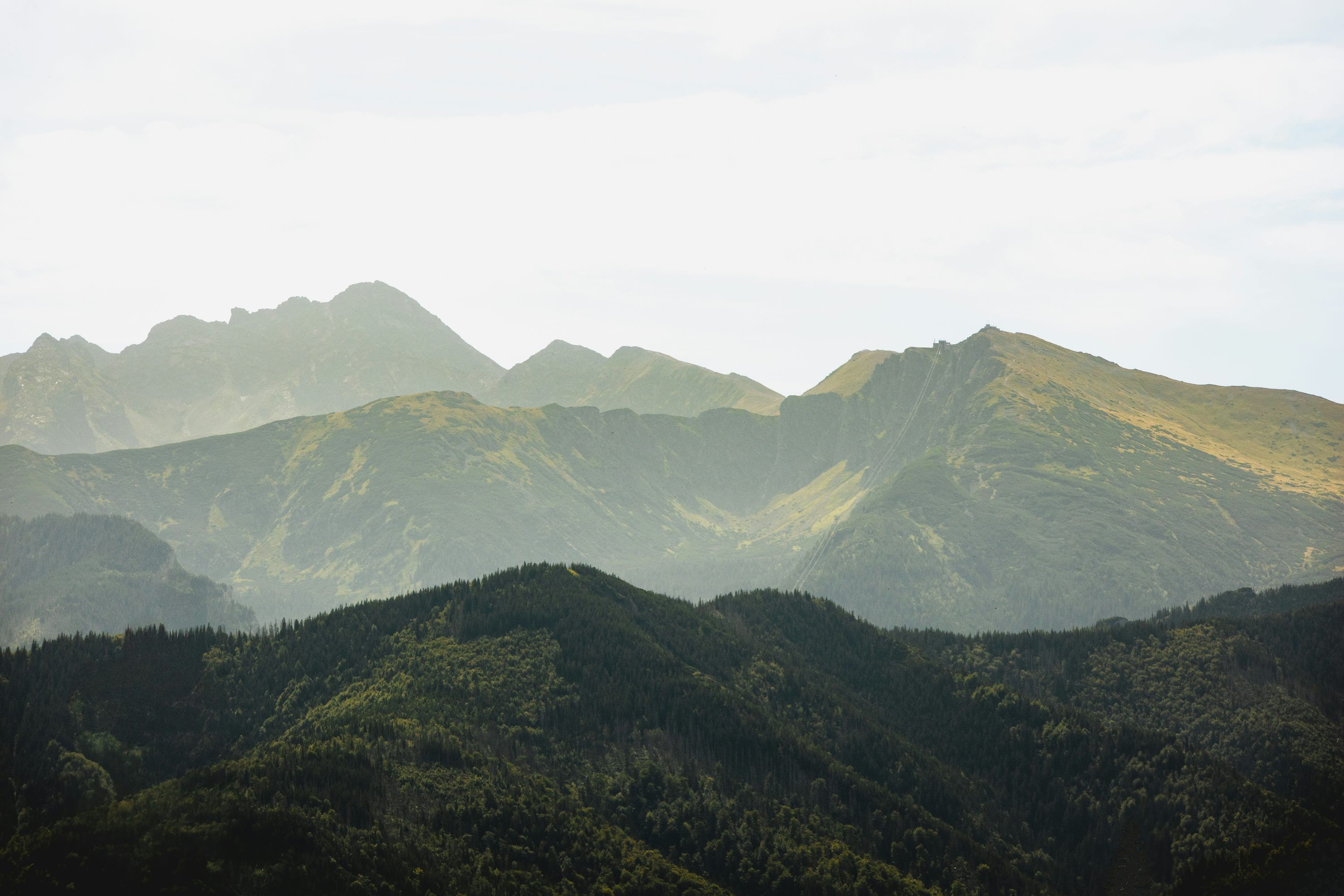 Panorama Tatr widziana z Zakopanego